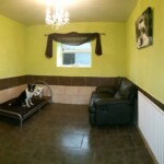 VIP Suite